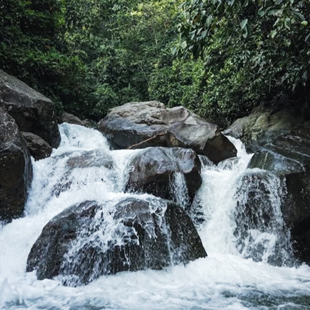 Trek Santai di Sungai Ciherang & Leuwi Asih